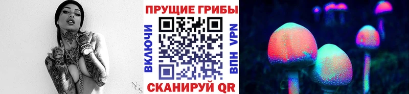 Купить закладки  Южноуральск  Псилоцибиновые грибы Magic Shrooms 
